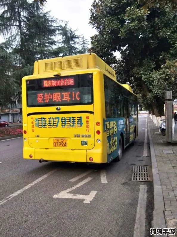 按尺寸坐公交车小镇20路：网友热评与高分推荐，畅享便捷出行体验