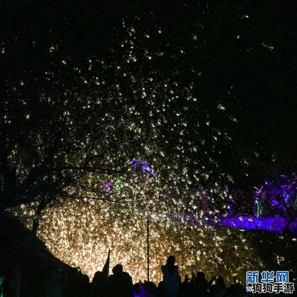 “蝴蝶阿姨满天星”：在每一片星空下，她的细腻关怀与温暖如同蝴蝶般舞动，令人陶醉与感动