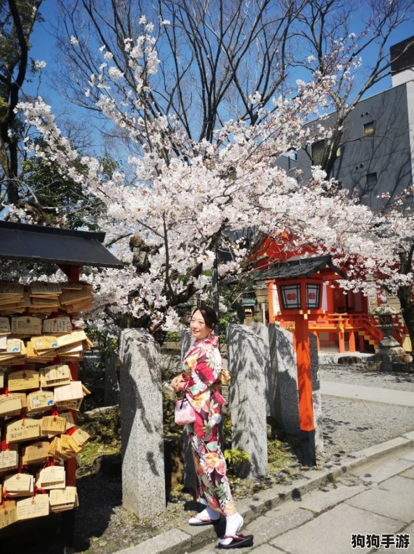 日本XXXXXⅩXXXX69：畅游樱花季，感受和风魅力与美食之旅