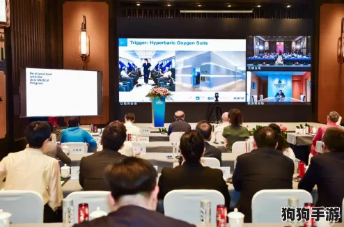 经理安排我陪两个德国客户，助力跨国合作与文化交流的成功之旅