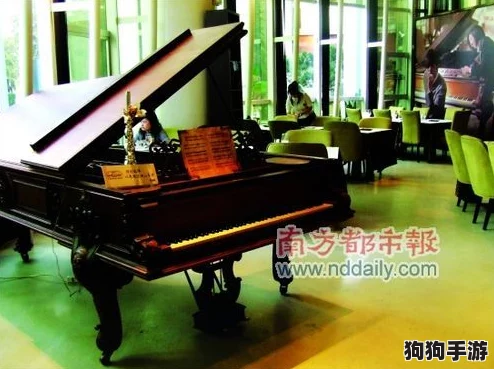 古董旅店钢琴迷局破解指南：15步精妙策略，解锁音乐谜题，助你悄然逃离密室之夜