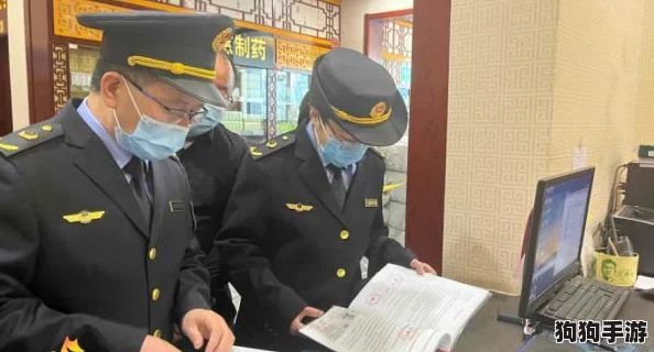 成品一级与一级的区别：深入探讨用户的真实体验及见解，揭示质量与价值的差异所在