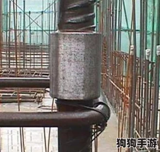 成品一级与一级的区别：深入探讨用户的真实体验及见解，揭示质量与价值的差异所在