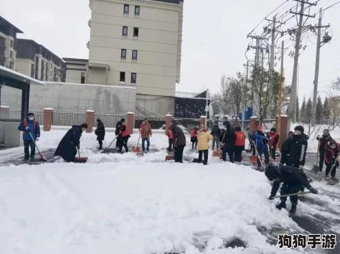 沈阳老阿姨最后巅峰时刻：感动全城的温暖瞬间与无私奉献精神