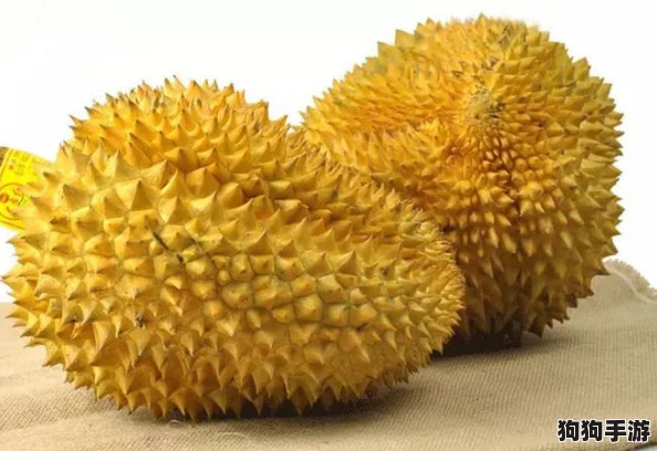 成人榴莲视频：畅享刺激与美味的完美结合，带你领略独特体验！