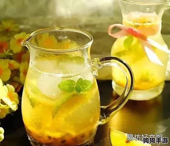 桐桐铜铜水好多，畅享清凉夏日饮品的最佳选择与健康益处分析