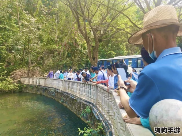 探索仙境奇缘：揭秘小仙王专属装备的全面获取策略与途径指南