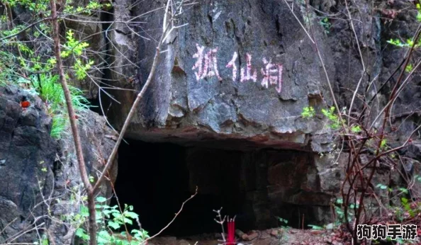 探索仙境奇缘：揭秘小仙王专属装备的全面获取策略与途径指南