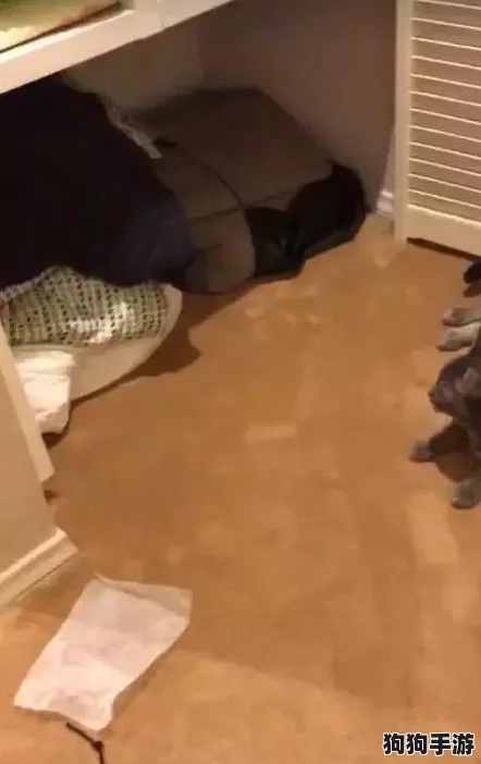 猫鼠大作战：精通猫咪专属道具策略，解锁手游制胜秘籍