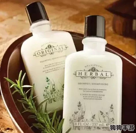 体内精69XXXXXx精油，提升生活品质的天然选择，助你焕发活力与健康