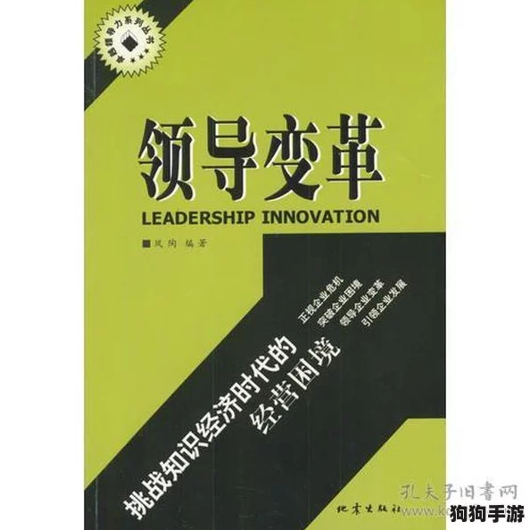 国产口语对白老妇：如何在生活中优雅应对各种挑战与困境的智慧分享