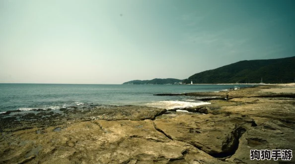 海角hjdo43.CCm：网友分享独到见解，热议美丽海滩与人文风情的完美融合探秘