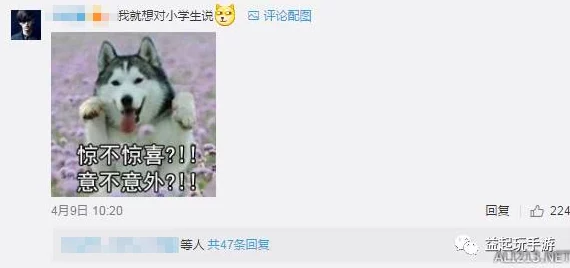 csgo暴躁猛女骂人，游戏内外的激烈对抗与情绪宣泄引发热议