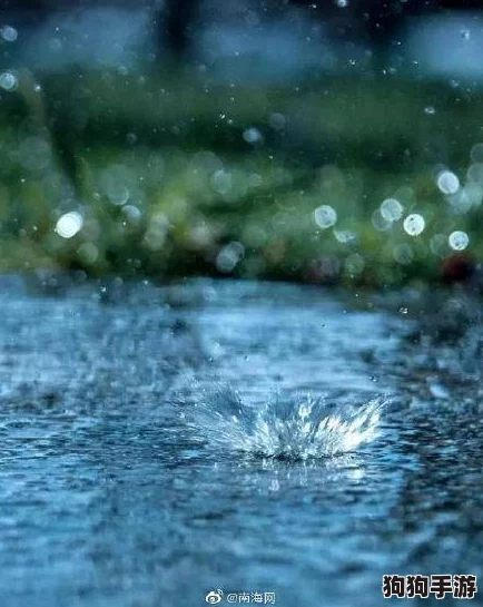 老人船上弄雨荷第13集介绍:感人故事与人生哲理交织,带你领略温情岁月的魅力 老人船上弄雨荷第13集介绍:感人故事与人生哲理交织,带你领略温情岁月的魅力