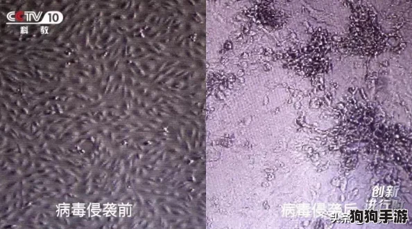 探索《死亡细胞》隐秘挑战：巨人路线的全面攻略与策略解析之路