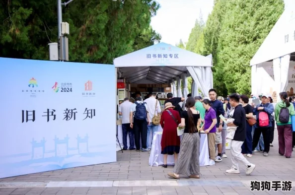 2024年度必玩！精选五大高品质文字冒险游戏，沉浸式体验引领新潮流排行榜