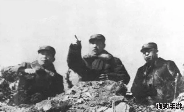 航海纪元：风暴之心下大海贼时代的巅峰荣耀，揭秘最强英雄阵容与传奇排行